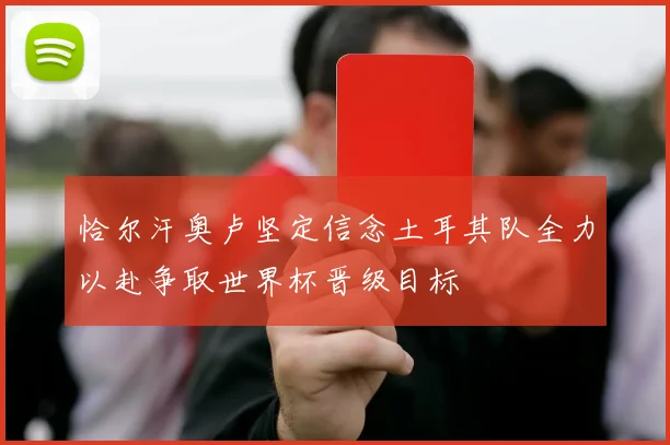 恰尔汗奥卢坚定信念土耳其队全力以赴争取世界杯晋级目标